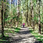 Letniskowe Nad Morzem