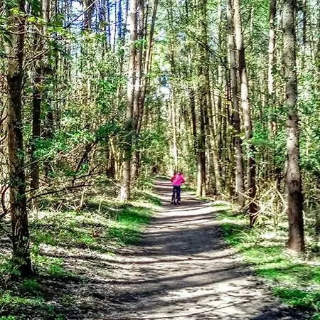 Letniskowe Nad Morzem