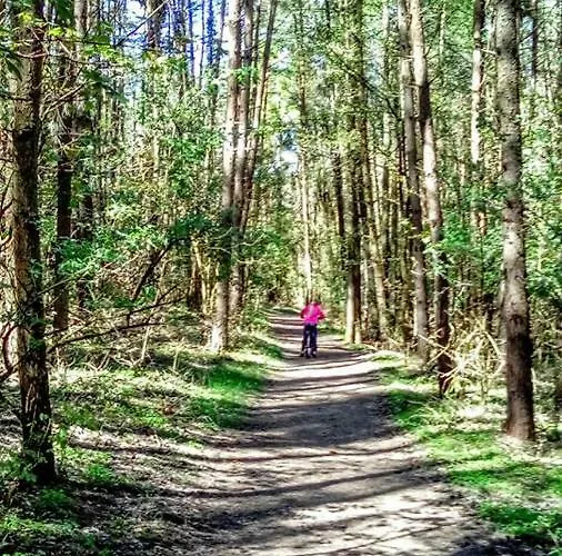 Letniskowe Nad Morzem